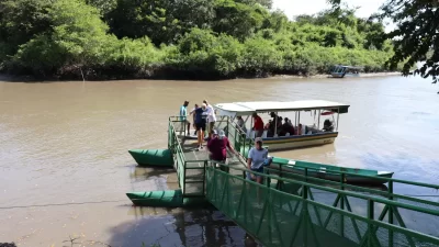 monkey-cruise-palo-verde-ramp